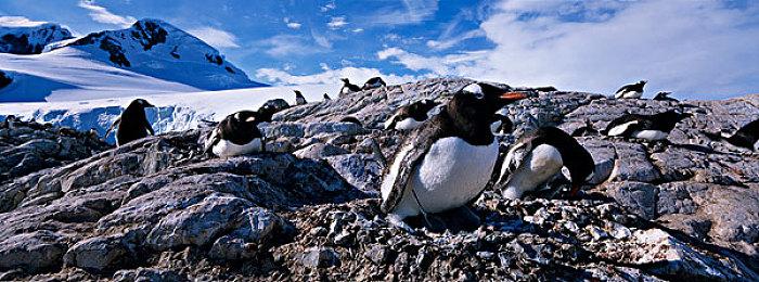 高清推箱子新作《After Light Fades》公布上市日期