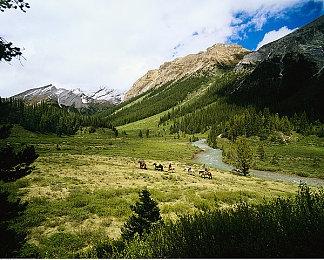 授权到期 《极限竞速7》9月15日将下架退出XGP